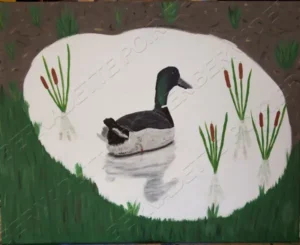 Painting of Mallard Duck in Pond. An adaptation from an original photo of duck in puddle in field. Art.
