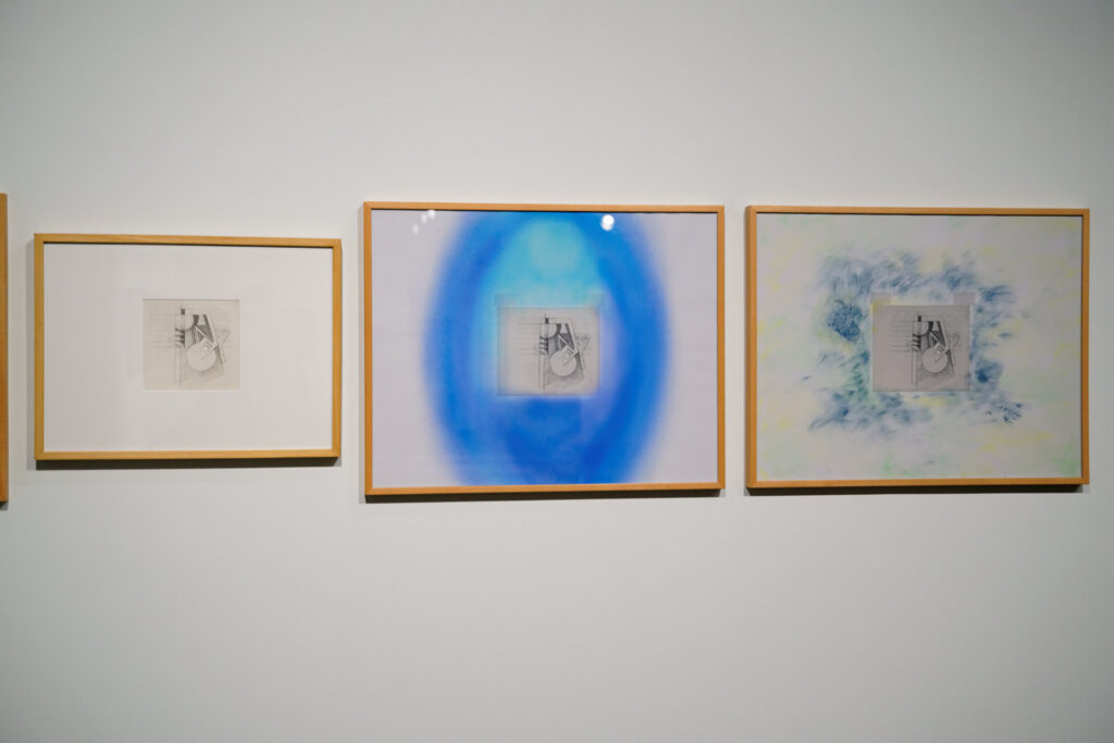 jen garden/lizi bloom